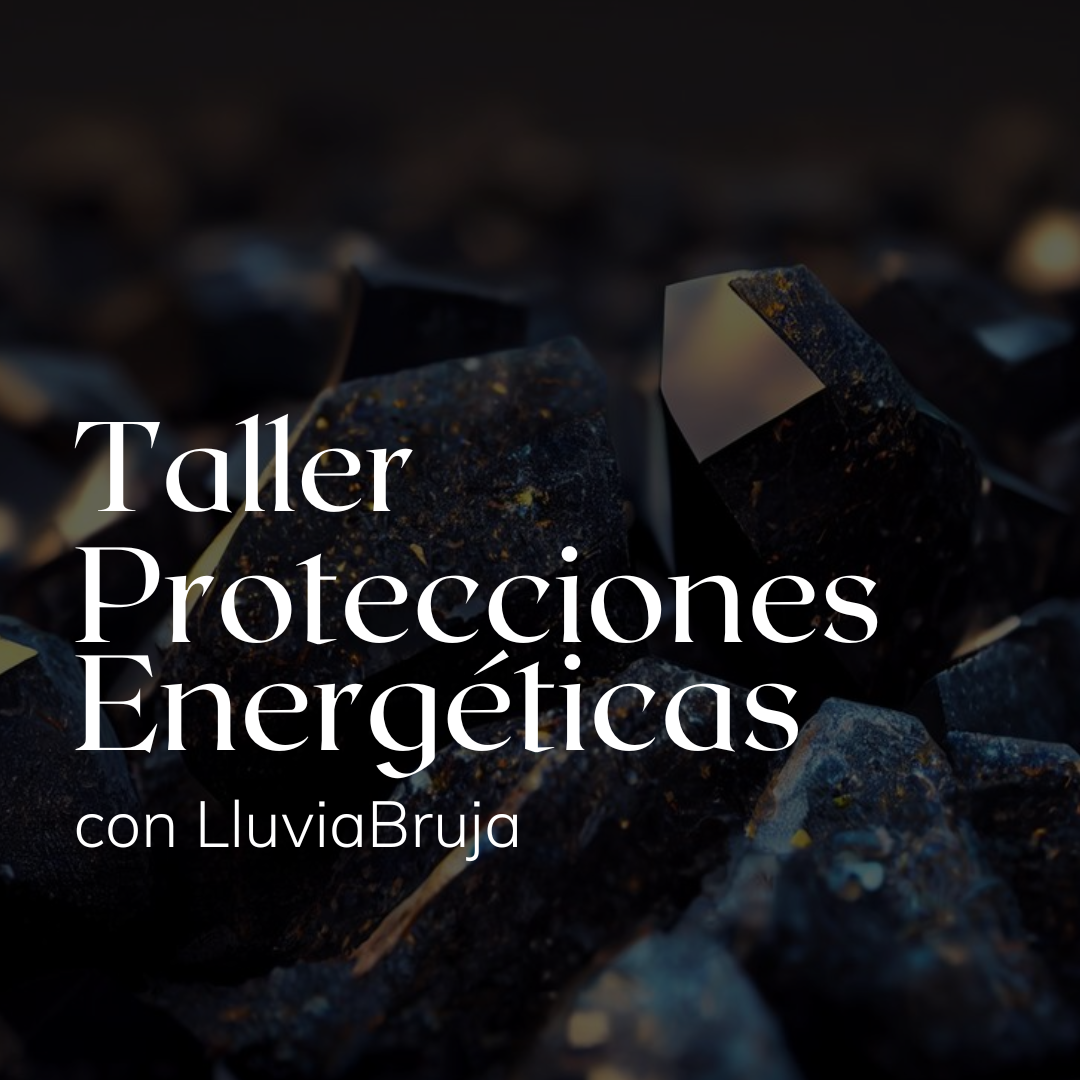 Inscripción | Taller Protecciones Energéticas