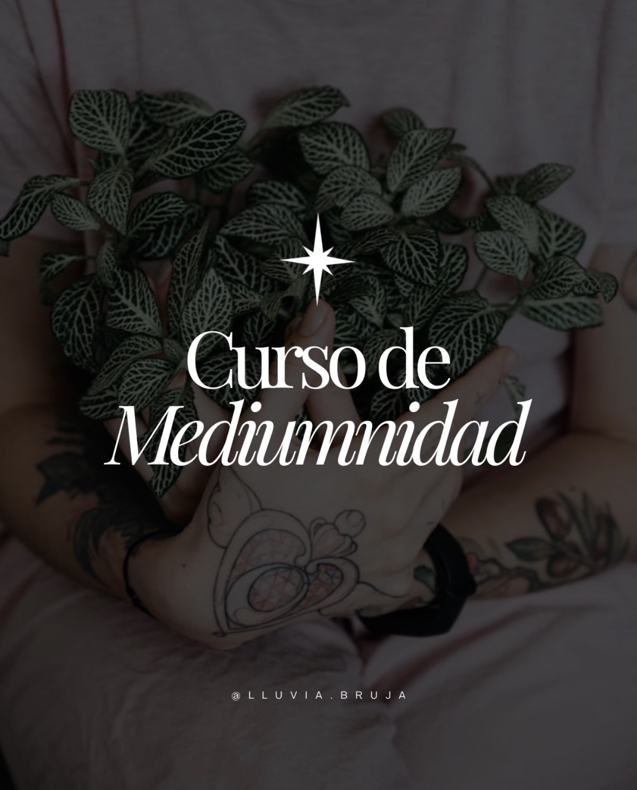 Curso Mediumnidad