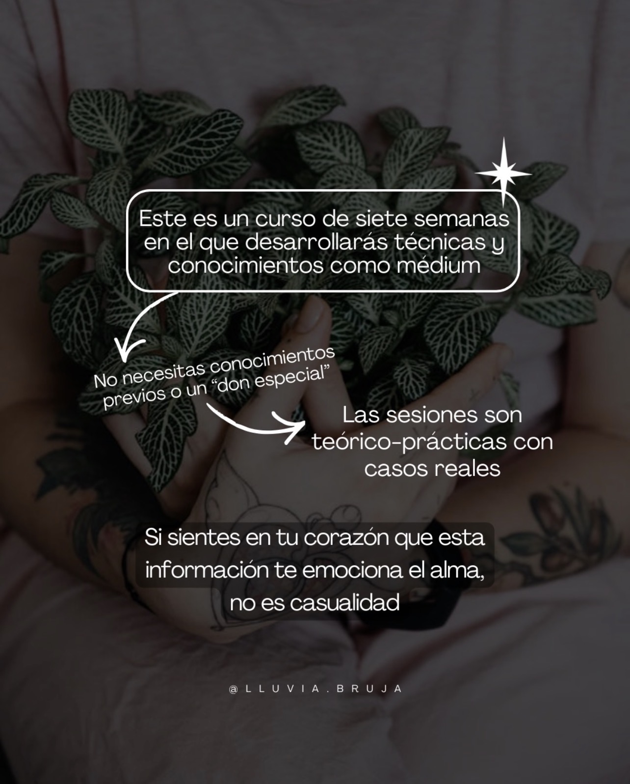 Curso Mediumnidad - Imagen 3